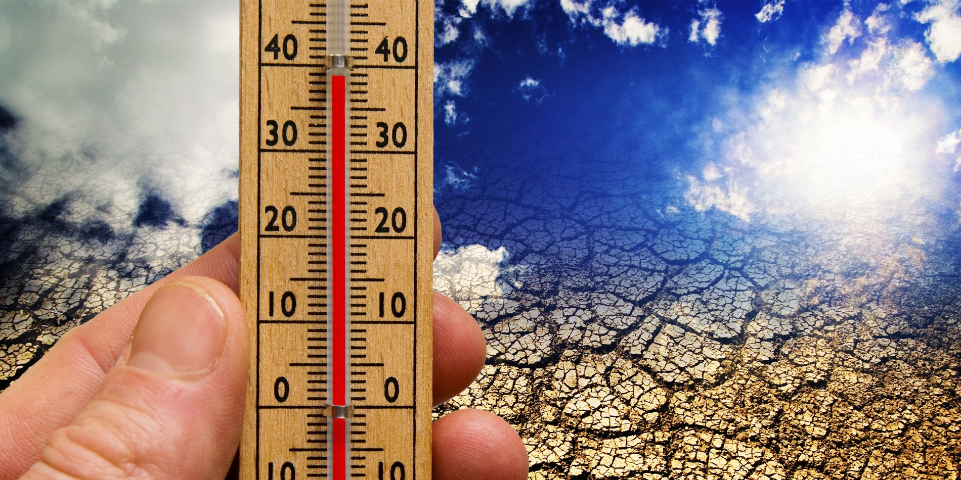 Teufelskreis Dürre und Hitze